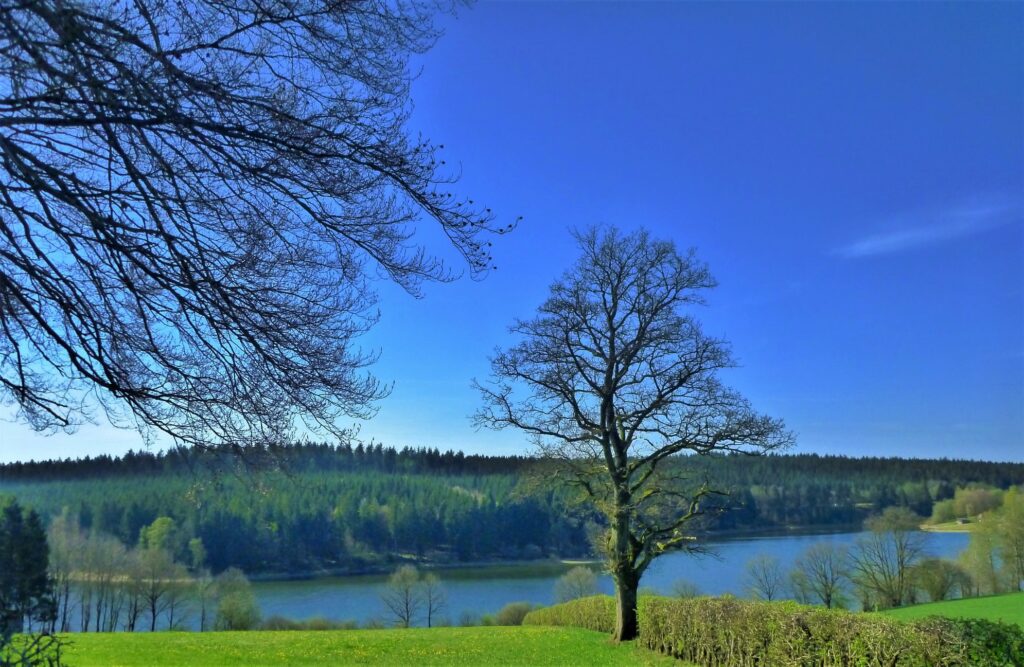 Le lac de Bütgenbach